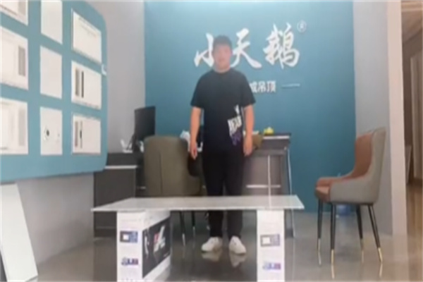 小天鹅集成吊顶 小天鹅集成吊顶