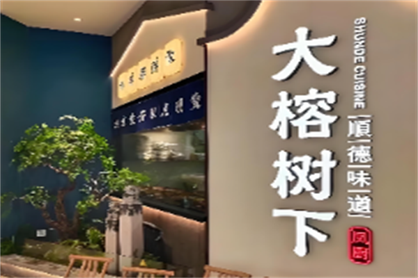 大榕树下 大榕树下