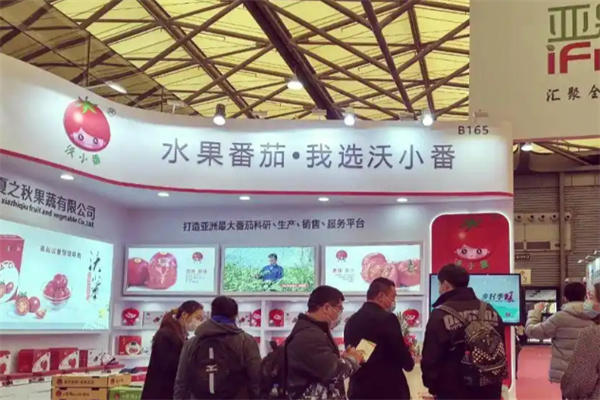 沃小番西红柿 沃小番西红柿