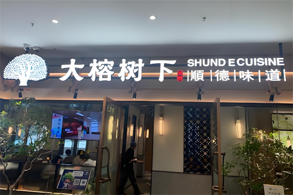大榕树下 大榕树下