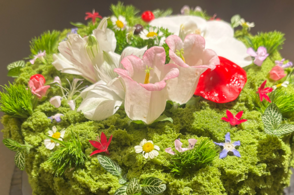 花马芭蛋糕 花马芭蛋糕