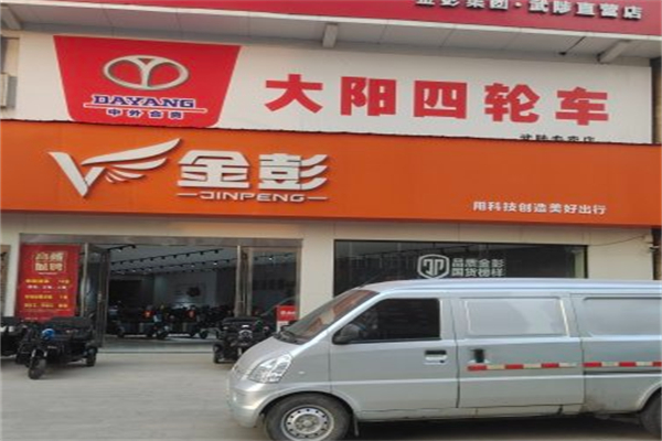 大阳四轮电动车 大阳四轮电动车