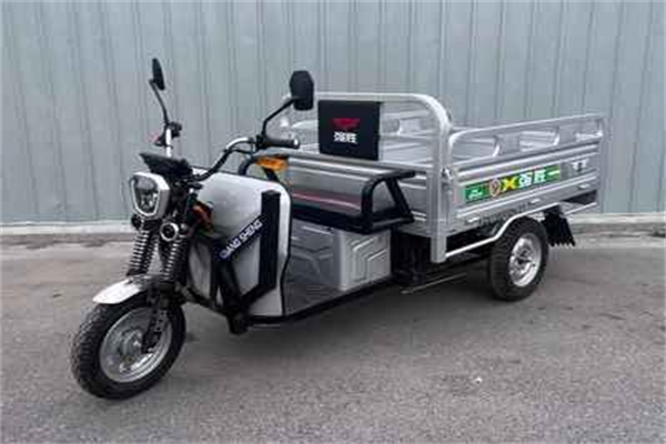 强胜电动车 强胜电动车