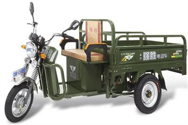 强胜电动车 强胜电动车