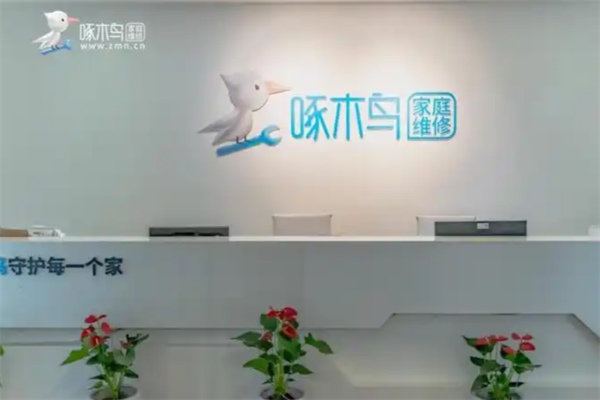 啄木鸟电脑维修中心 啄木鸟电脑维修中心