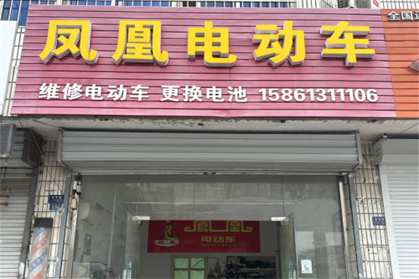凤凰电动汽车 凤凰电动汽车