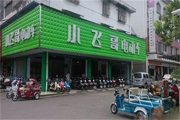 小飞哥电动车 小飞哥电动车