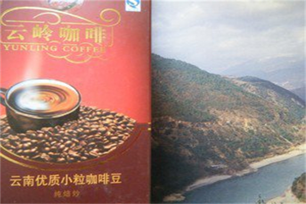 云岭咖啡 云岭咖啡