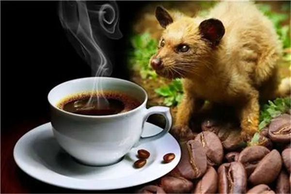 猫侠士咖啡