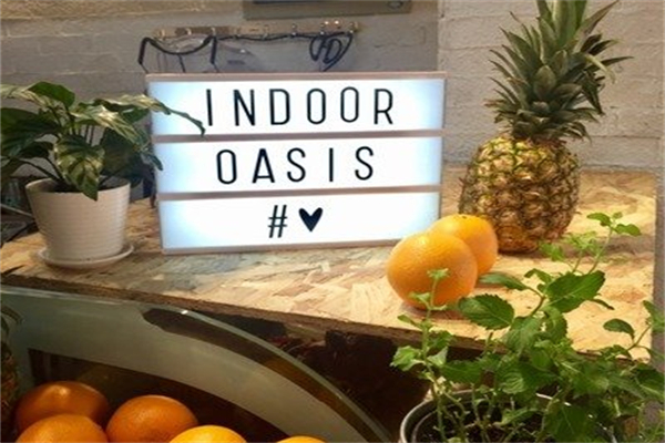 indoor oasis绿洲间