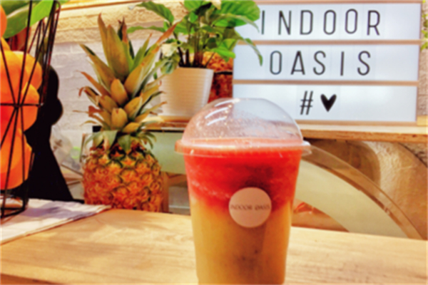 indoor oasis绿洲间