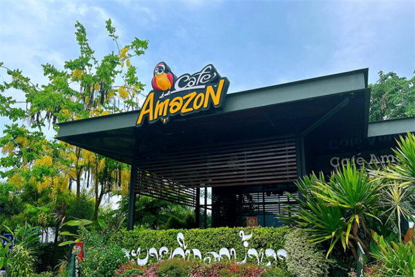 cafe amazon cafe amazon