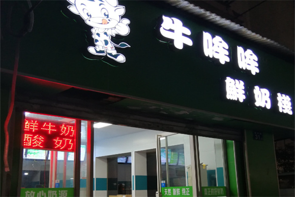 牛哞哞 牛哞哞