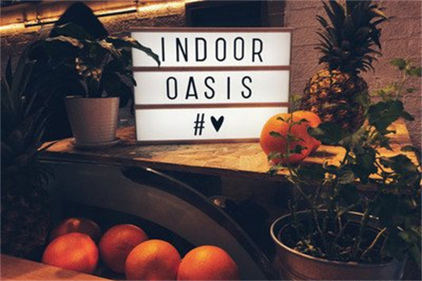 indoor oasis绿洲间