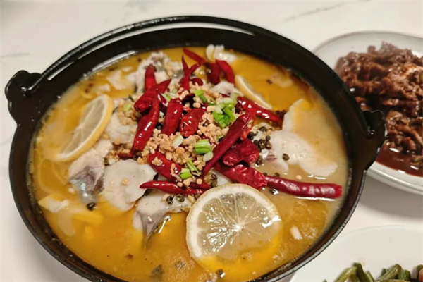 小小酸菜鱼