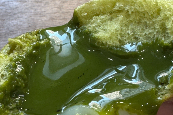 奉茶面包 奉茶面包