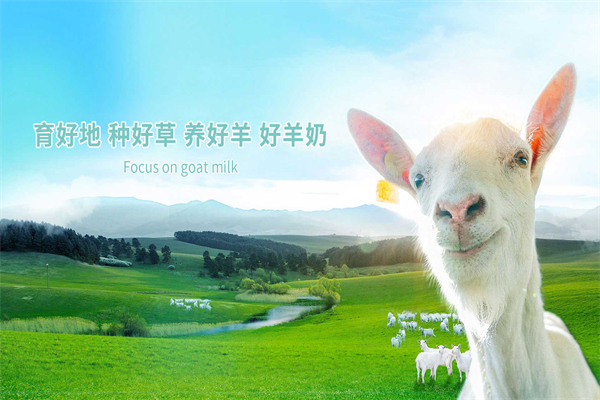 美羚羊奶饮品