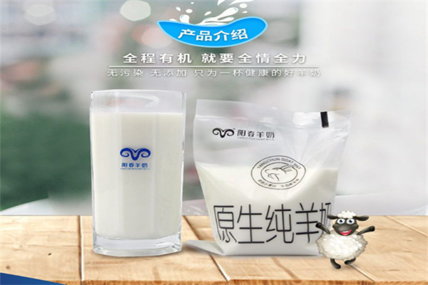 阳春羊奶
