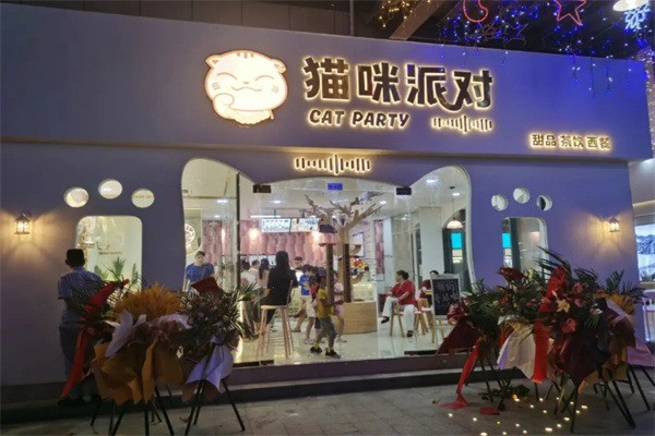猫咪派对 猫咪派对