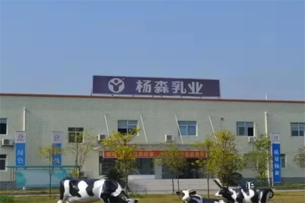 杨森乳业