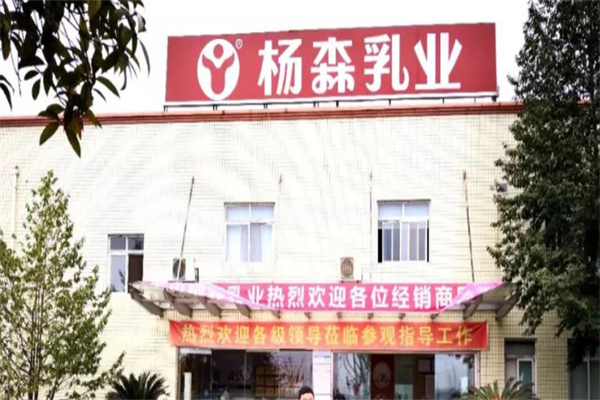 杨森乳业