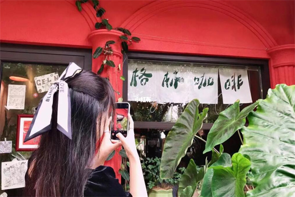格林咖啡 格林咖啡