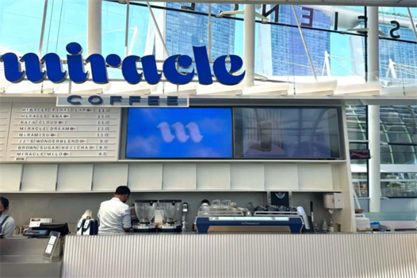 miracle coffee miracle coffee