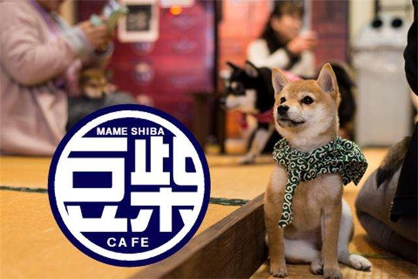 逗柴咖啡屋 逗柴咖啡屋