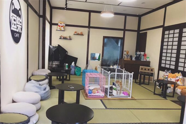 逗柴咖啡屋 逗柴咖啡屋