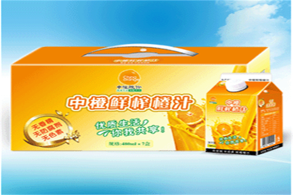 中橙鲜榨橙汁 中橙鲜榨橙汁