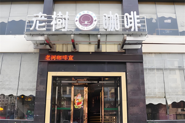 老树咖啡店 老树咖啡店