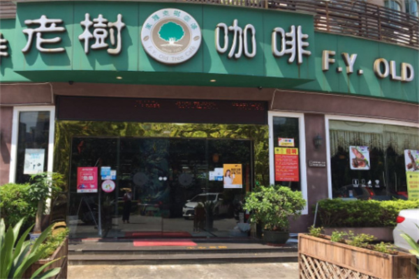 老树咖啡店 老树咖啡店