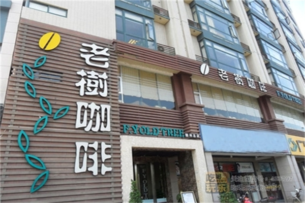 老树咖啡店 老树咖啡店