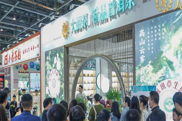 大丽茶 大丽茶