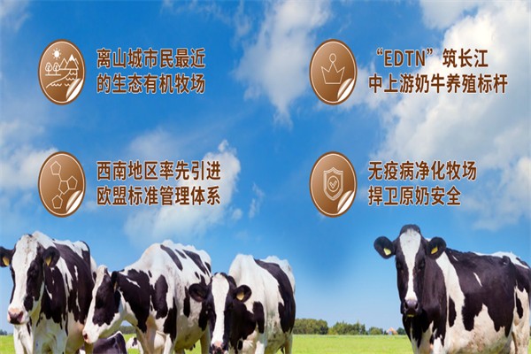 奶牛梦工场牛奶