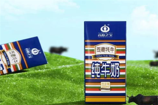 高原之宝牦牛奶