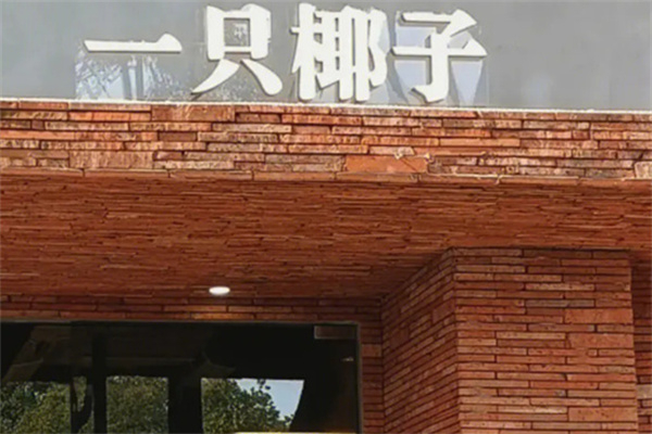 一只椰子