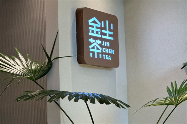 金尘茶