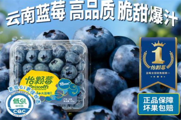Driscolls怡颗莓 Driscolls怡颗莓