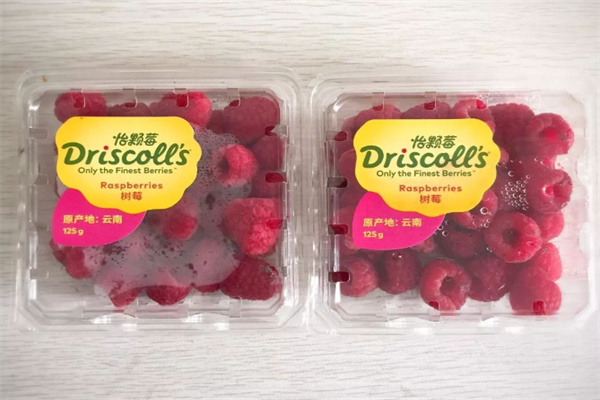 Driscolls怡颗莓 Driscolls怡颗莓