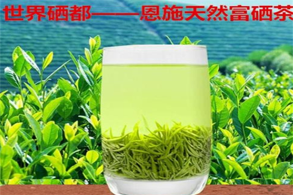 富硒贡茶 富硒贡茶