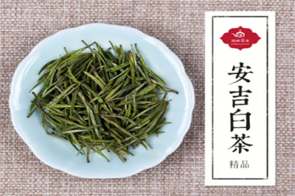 极白安吉白茶 极白安吉白茶