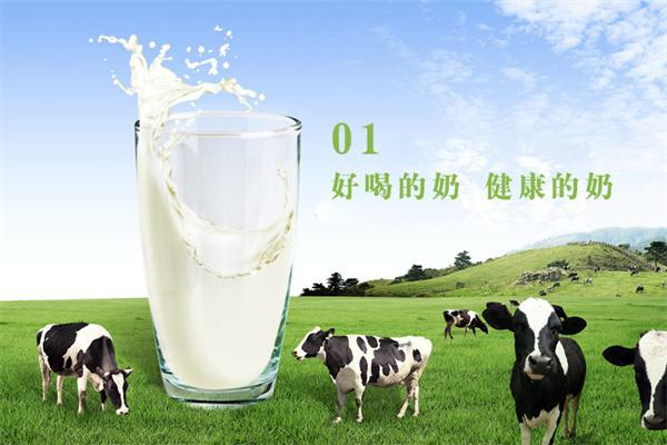 广泽奶站