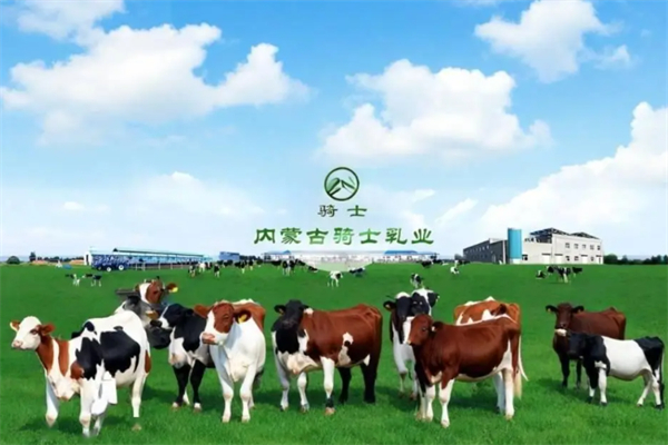 骑士乳业