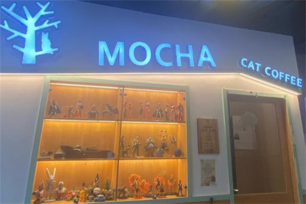 mocha猫咖
