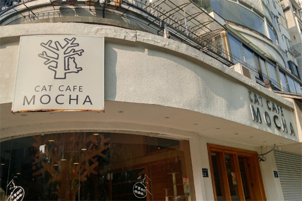 mocha猫咖加盟费大概多少?加盟投入灵活可控