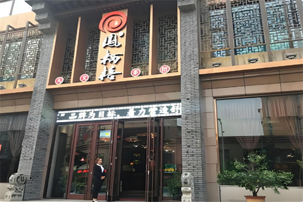 凤栖梧茶饮