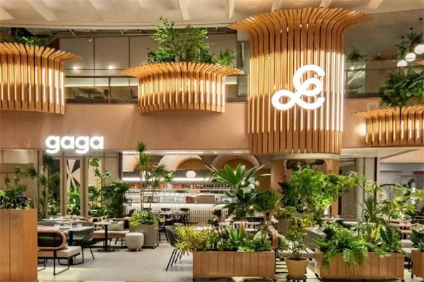 鲜语gaga
