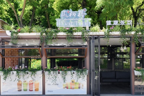 凤栖梧 凤栖梧