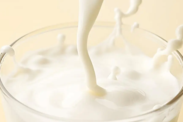 新乳业 新乳业